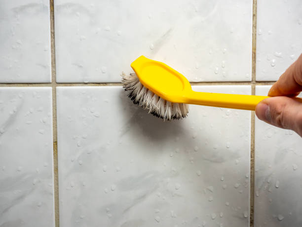 Best Certified Mold Removal  in Temperance, MI