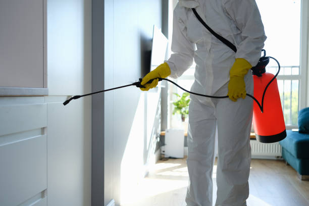 Best Mold Remediation Services  in Temperance, MI