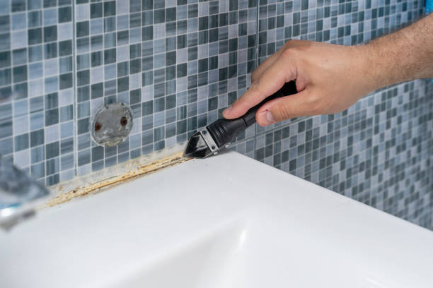Best Residential Mold Removal  in Temperance, MI