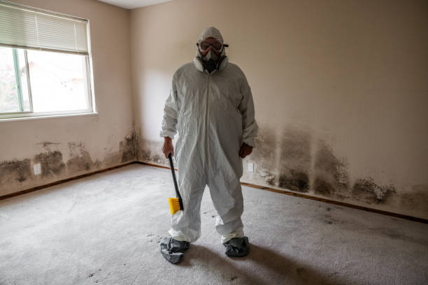 Best Crawl Space Mold Removal  in Temperance, MI